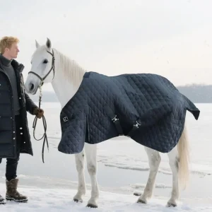 Winter horse blanket on a white horse, with a rider in winter attire by a snowy landscape.