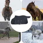 Black winter horse blanket displayed with horses in various weather conditions.