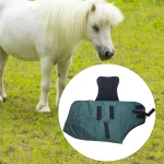 Winter horse blanket in green color displayed next to a white pony in a grassy field