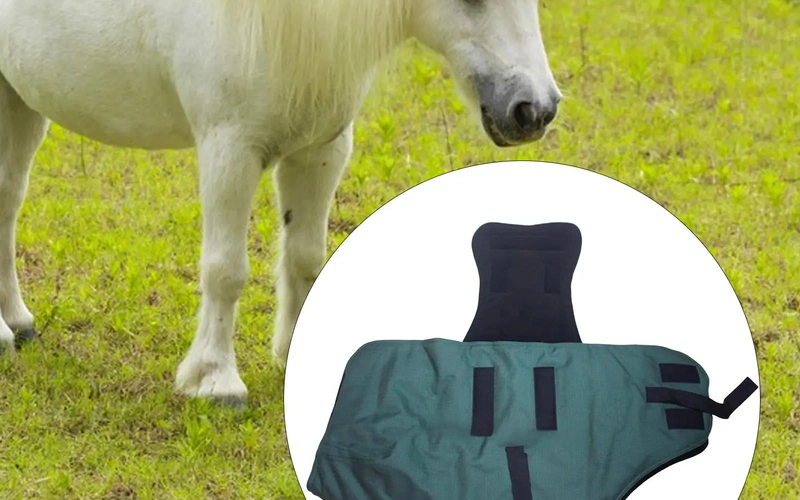 premium-waterproof-winterhorseblanket-for-equines