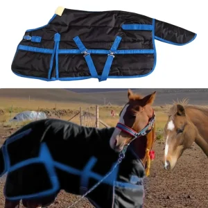 Winter horse blanket in black with blue straps on a horse in a pasture.