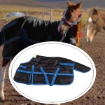 Winter horse blanket in black with blue accents on a horse in a pasture