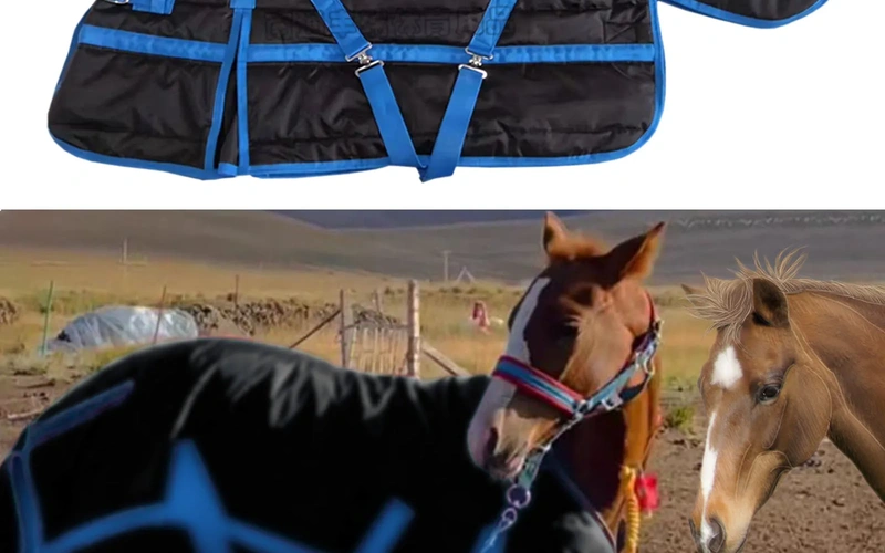 premium-winterhorseblanket-waterproof-protection