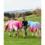Two horses wearing colorful winter horse blankets being led by a person on a grassy field.