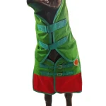 Colorful winter horse blanket in green and red with adjustable straps