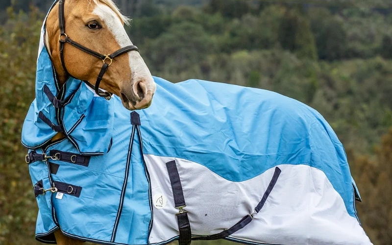 premium-winterhorseblanket-with-removable-neck