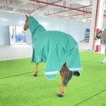 Winter horse blanket in teal color on a horse in indoor arena