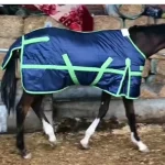 Winter horse blanket in navy blue with green accents on a horse in stable