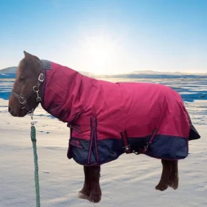 Winter horse blanket on a brown horse standing in a snowy landscape