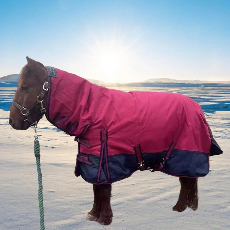 waterproof-winterhorseblanket-with-neck-cover-banner-1 Winter horse blanket on a brown horse standing in a snowy landscape