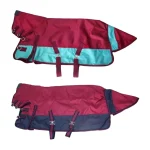 Red and teal winter horse blanket with adjustable straps and buckles