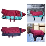 Winter horse blanket in red and teal on a horse in snowy landscape
