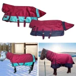 Winter horse blankets in red and teal colors for equine protection against cold weather.